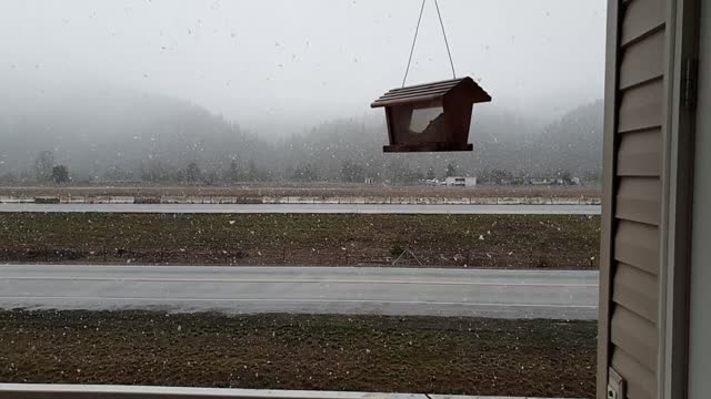 Snowy Day in Idaho