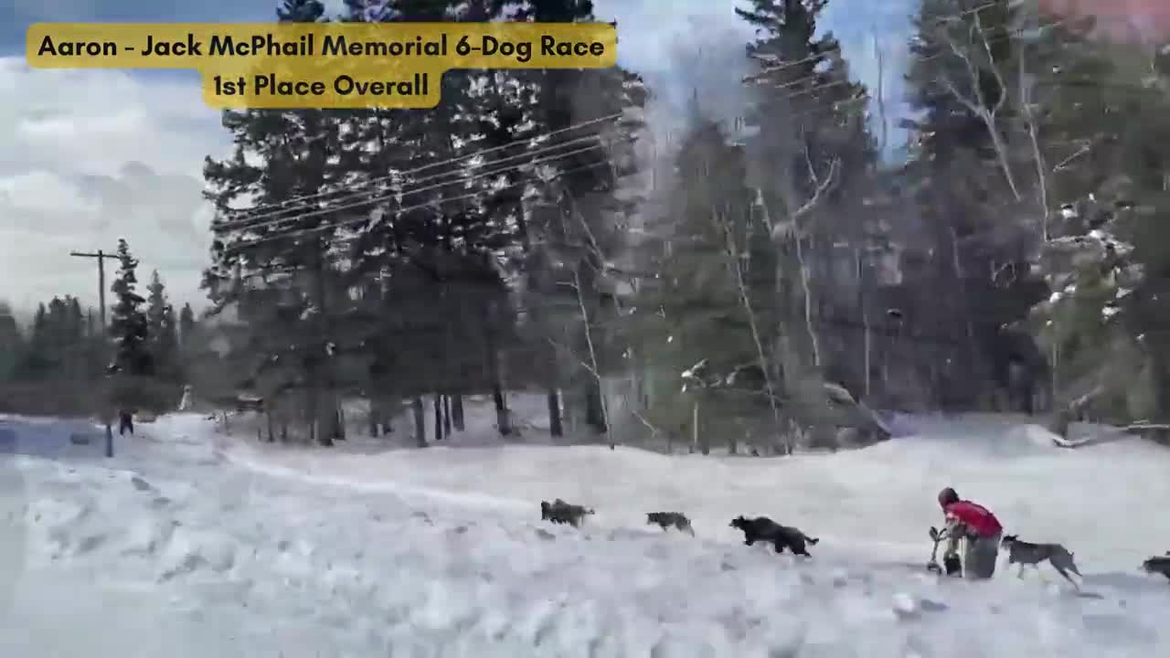 The Pas, Manitoba Sled Dog Races