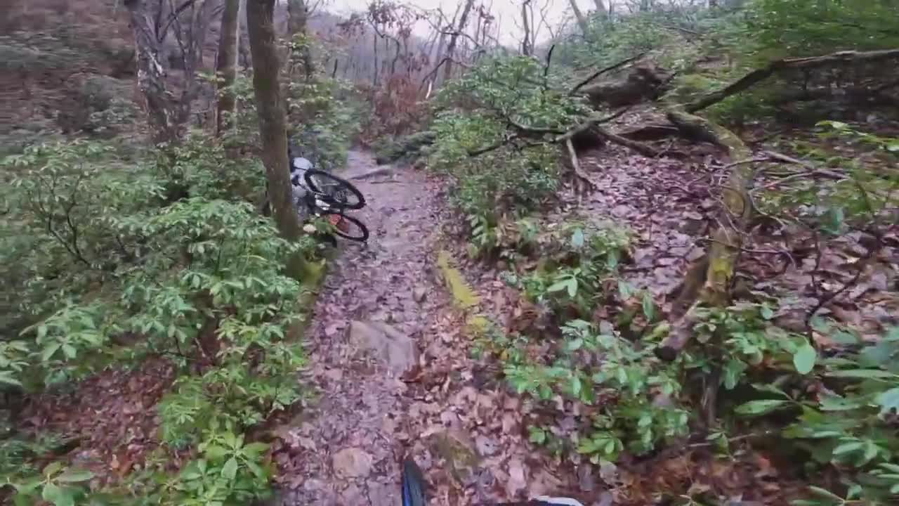 Best MTB Fails Of 2022 #137 | MTB Crashes of 2022 / Mtb classic