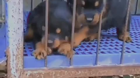 tag_ur_this_type_of_friend