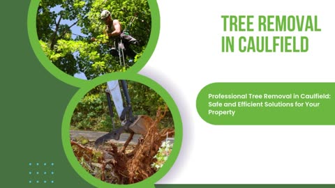 Professional Tree Removal in Caulfield: Safe and Efficient Solutions for Your Property