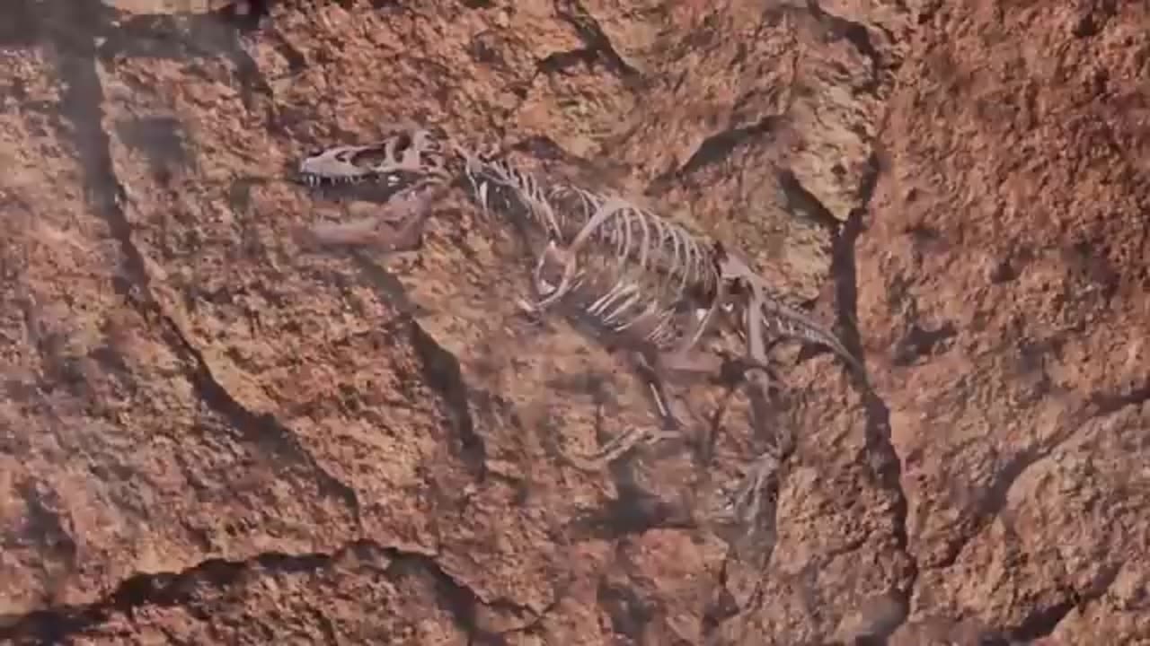Dinossauros extintos!Como ficou o mundo?Como era o mundo sem os dinossauros?