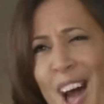 Kamala Harris speaks at the U.N. This is what she said....