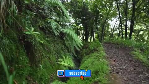 Relaxing Music | Sleeping, Meditation, Stress Relief | [5982] ⭐️