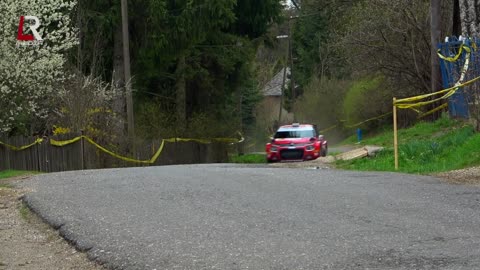 MADS Østberg KUTYAszorítóban! - ØSTBERG saves the DOGS - Boldogkő Rally 2022