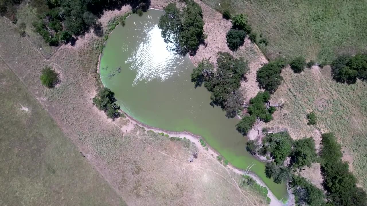 Climate change, overharvesting hit Texas oysters