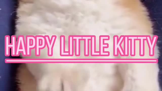 Happy little Kitty💛💛✨✨