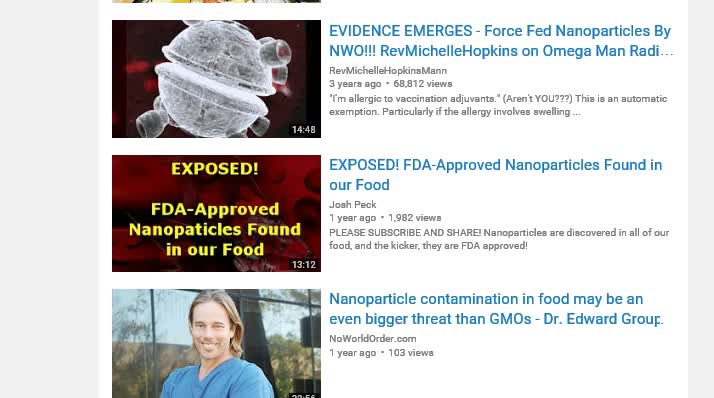 nanoparticles in foods omg