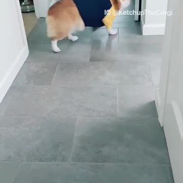 THE SMARTEST KETCHUP.mp4