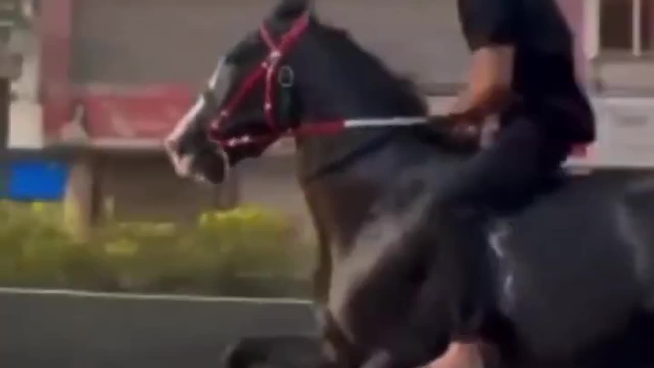 horse speed (jiv)#viral #horse #shorts #hors #ytshorts