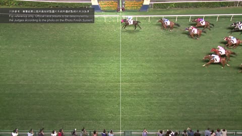 Horce_Race_2022051809_Chinese