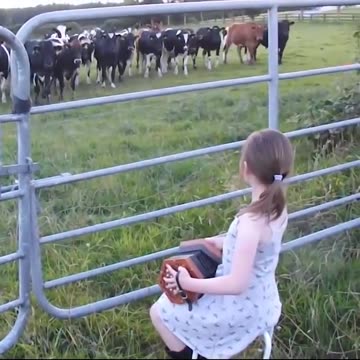 The Power of Music. Little Girl Serenades Herd Of Cows...