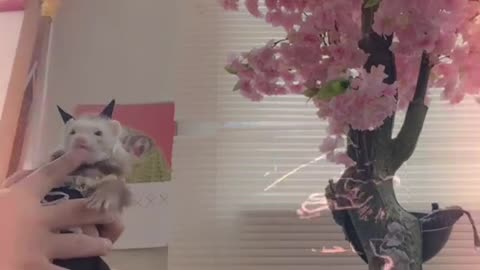 Type as many words 🤪