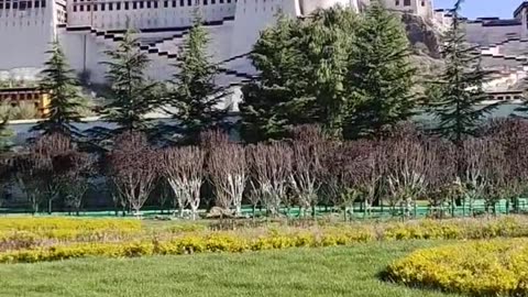 POTALA PALACE IN LHASA TIBET