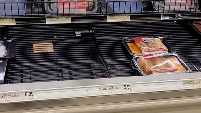 Our Local Food Lion Looks Pitiful