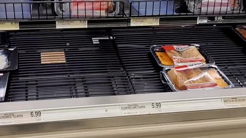 Our Local Food Lion Looks Pitiful