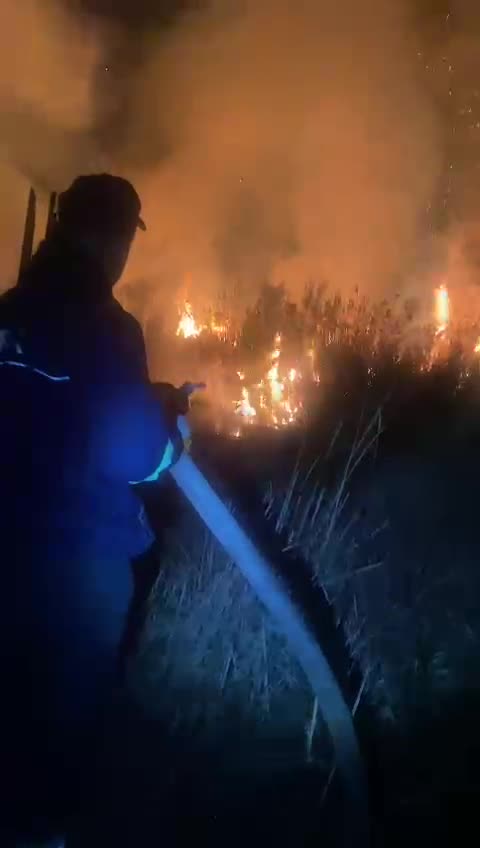 Përfshihet sërish nga flakët Pylli i Sodës në Vlorë