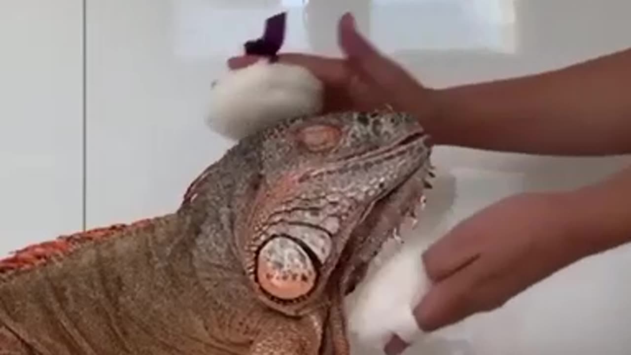 Funny