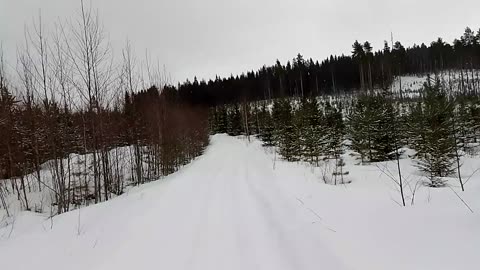 Hätätilamajoituksia ja varautumista