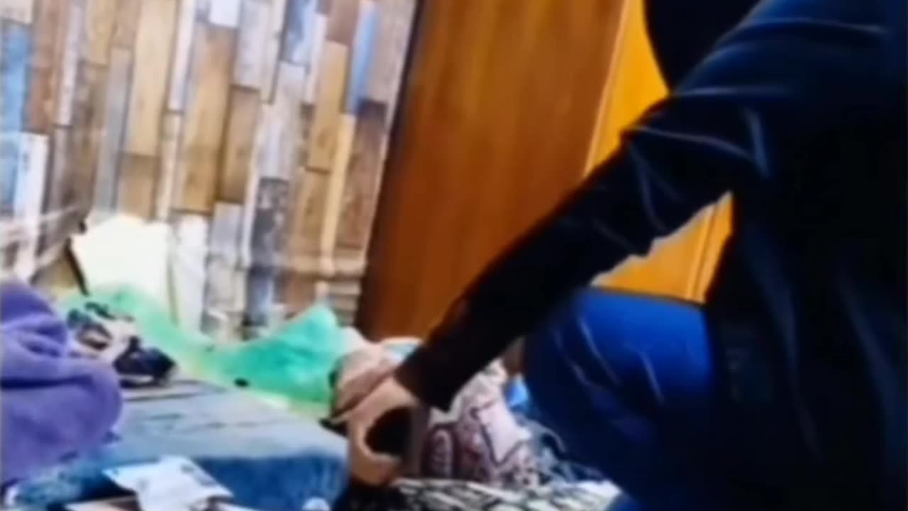 Today's Darwin Contender