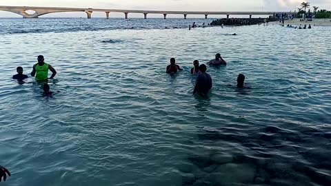 Maldives sea swimming my team