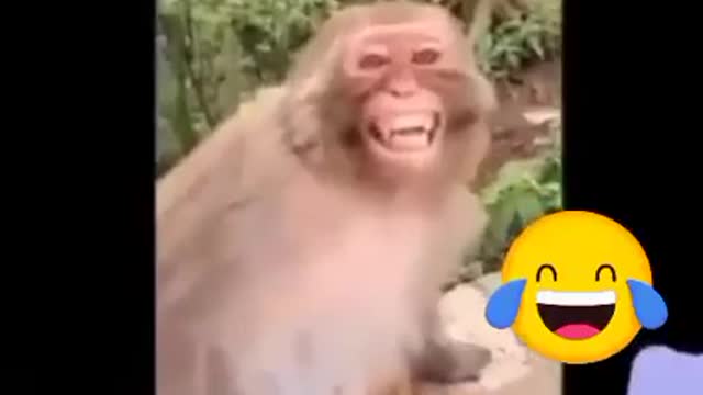 Save that Ass