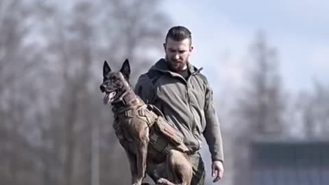 The Army man trains the Dog amazing