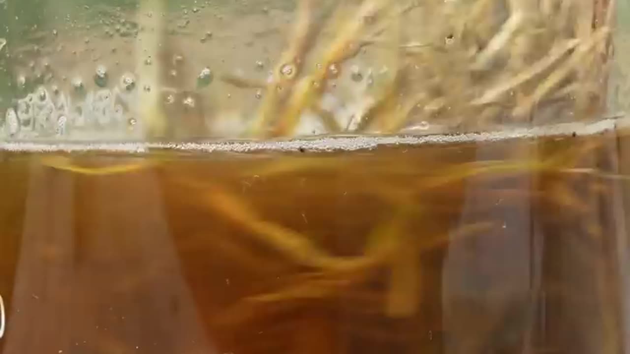 Turning Grass into Paper
