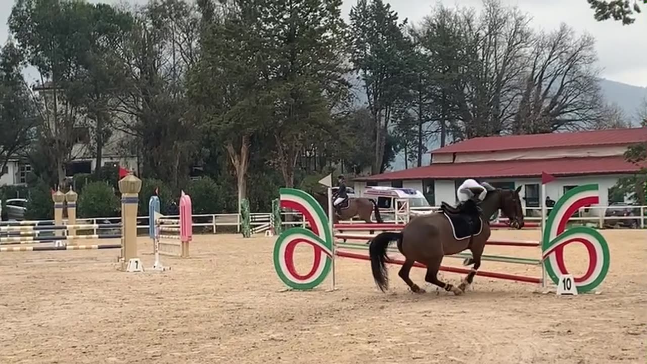 Horseback Rider Falls Off After Failed Attempt to Jump Fence