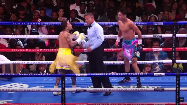 Boxing Technical Analisys Davis vs Barrios Round 7