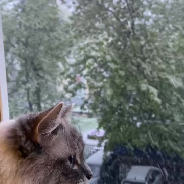 What is this snow in may damnation 🤣🤣