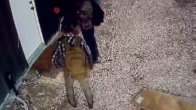 Suspected illegal immigrants trying to break into a house