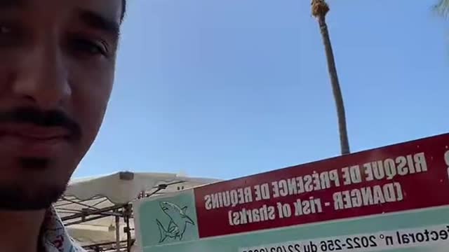 Elle va faire du coller/serrer avec les requins ?? ??