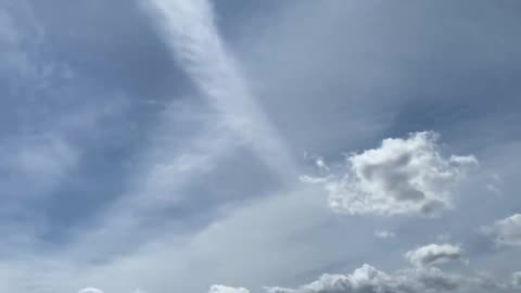 My white vinegar experiment