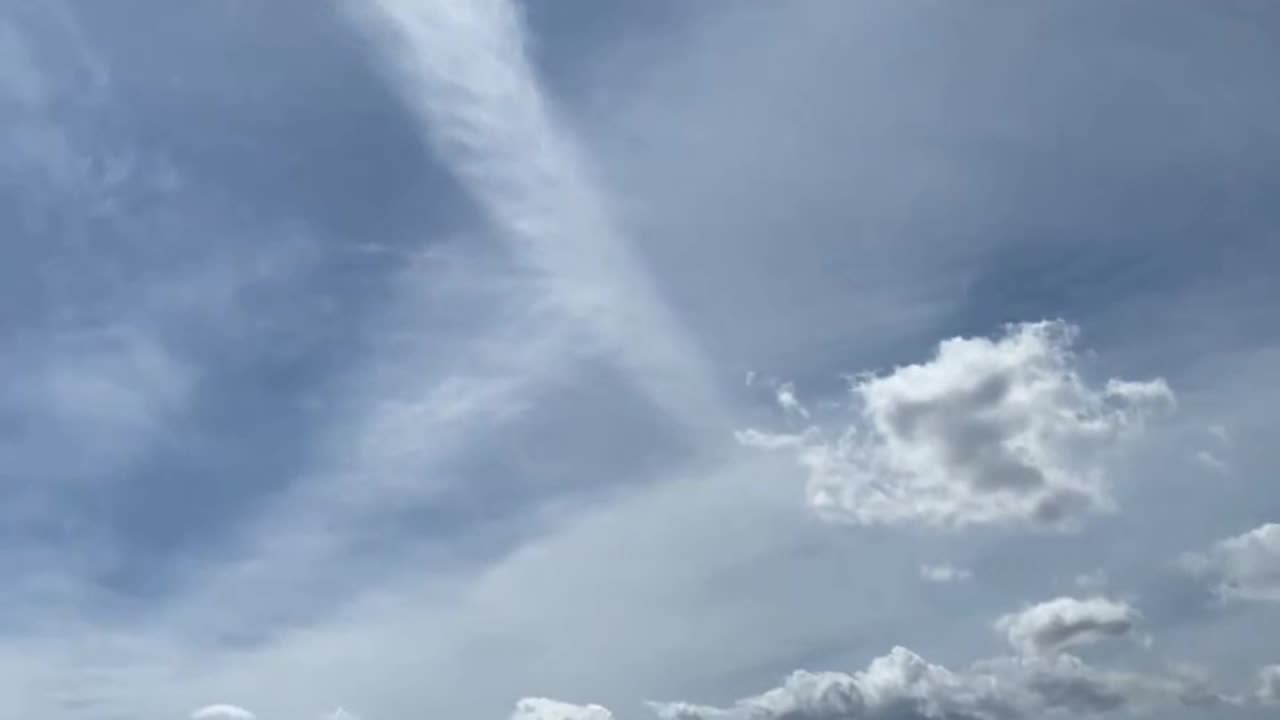 My white vinegar experiment