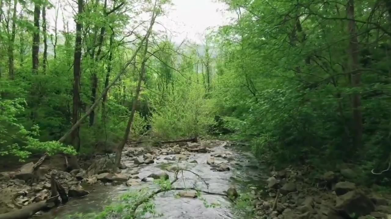 Relaxing Nature Video