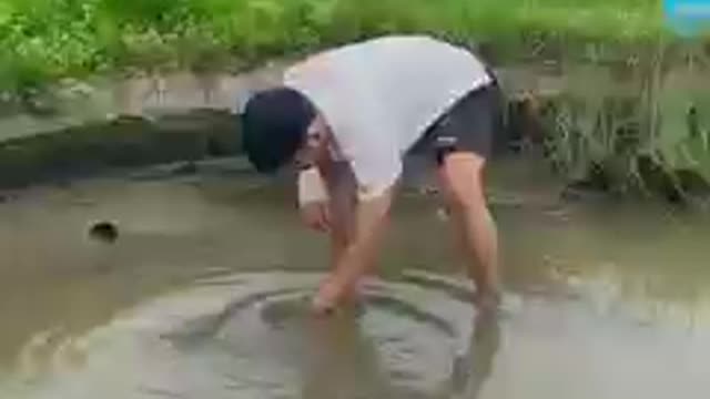 to boys very funny videos