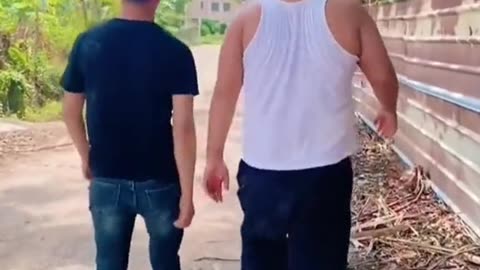 Funny videos fun and only fun