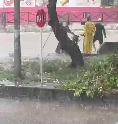 Policía rescató a hombre que era arrastrado por arroyo