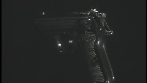 Police Guns