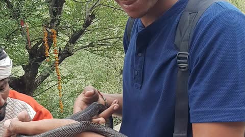 Snake bite