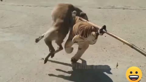 Funny 🤣😂 viral video