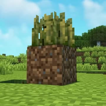 I Became a Grass Block for a Day
