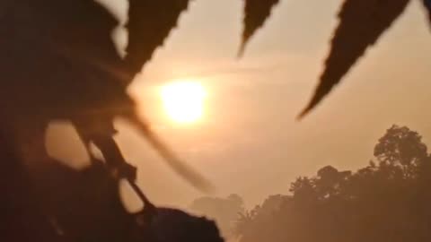 ☀️