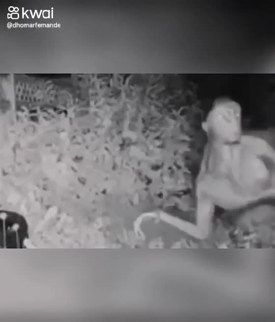 NEW IMAGES OF THE ET THAT APPEARED IN THE BACKYARD IN LAS VEGAS AFTER HIS SHIP CRASHES PART 2