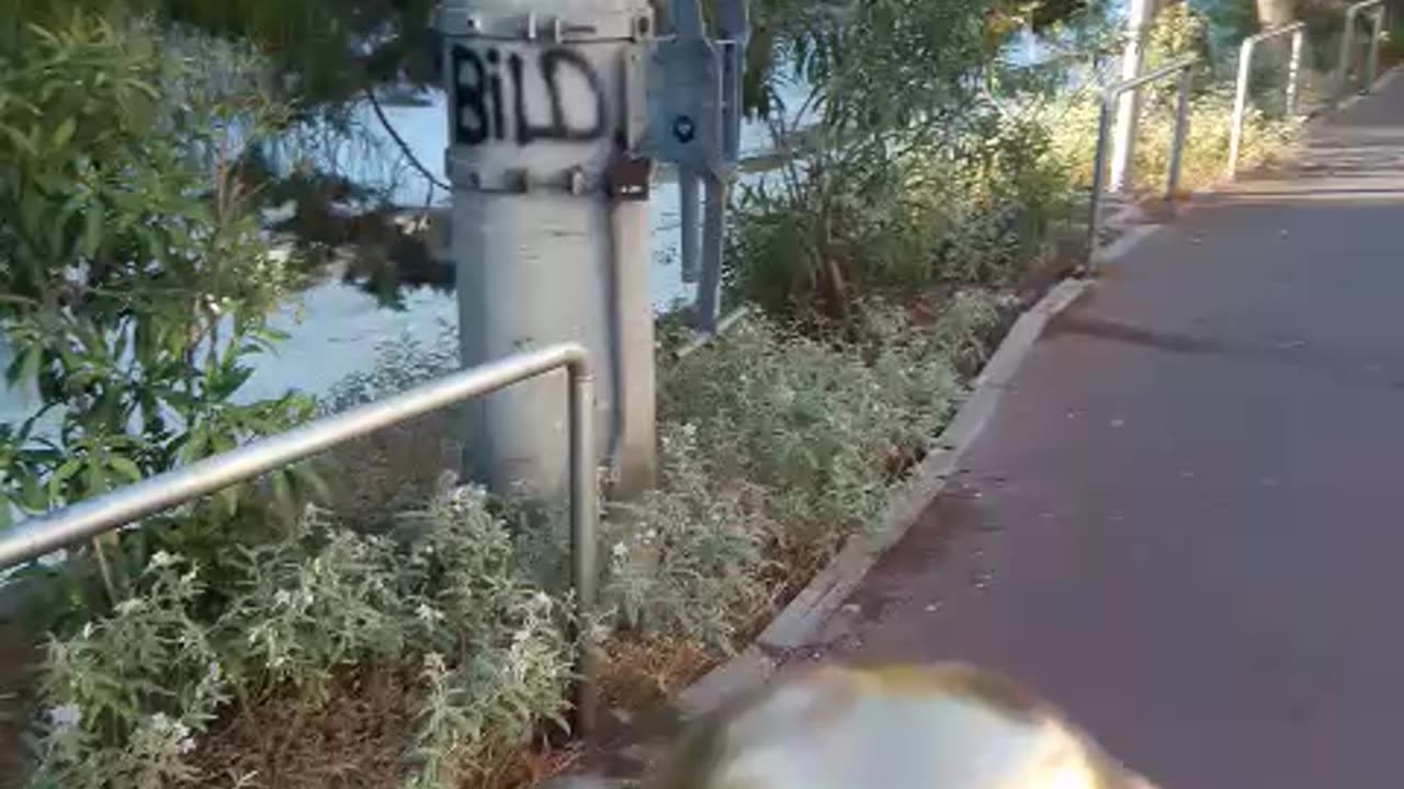 ΤΟ ΧΡΥΣΟ ΑΥΓΟ - ΕΞΩ ΟΙ ΚΟΜΟΥΝΙΣΤΟΣΥΜΜΟΡΙΤΕΣ ΕΙΔΩΛΟΛΑΤΡΕΣ!!!