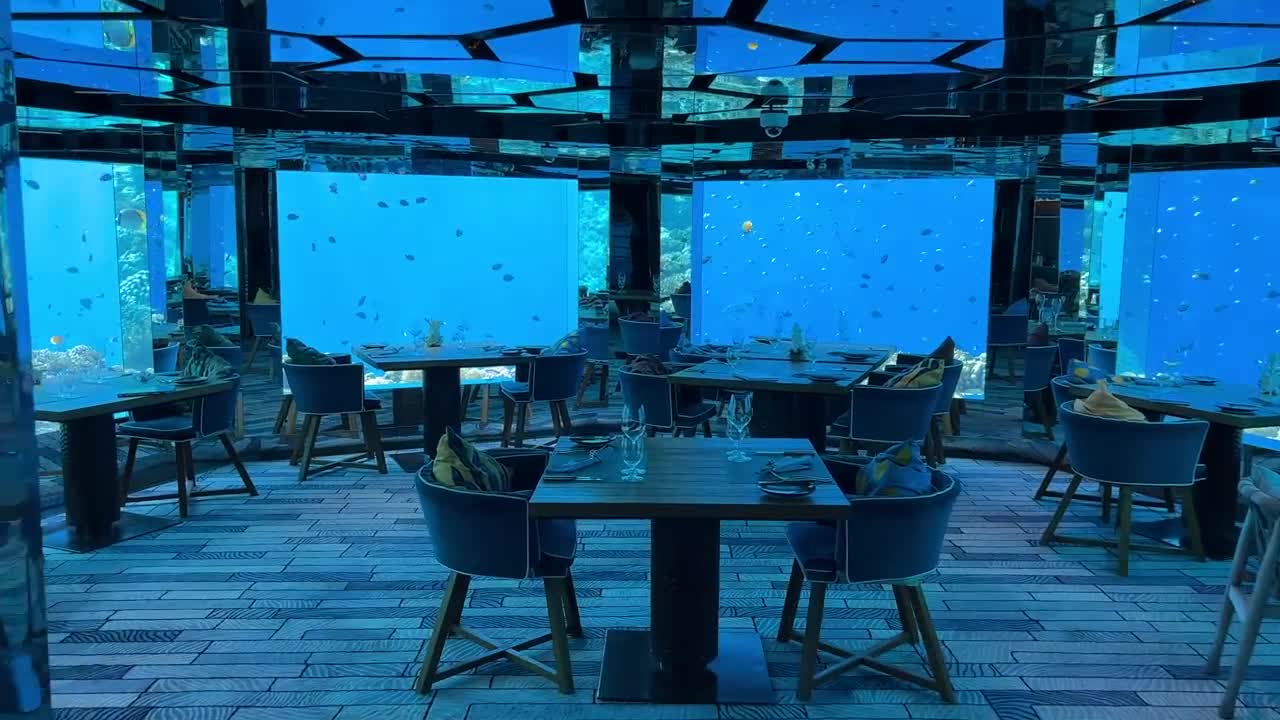 Underwater restaurant in the Maldives | Surreal fine dining experience