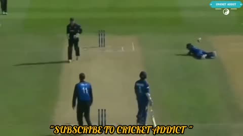 10 Most Funny Run Out in Cricket