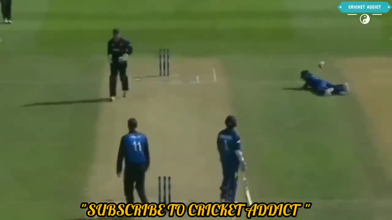 10 Most Funny Run Out in Cricket