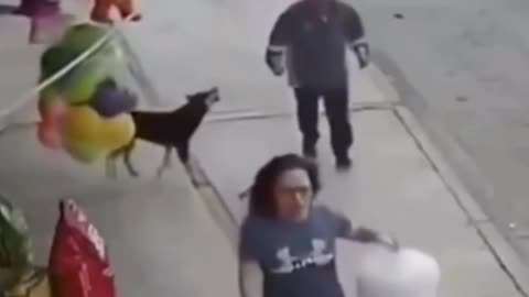Funny video 🤣🤣😂